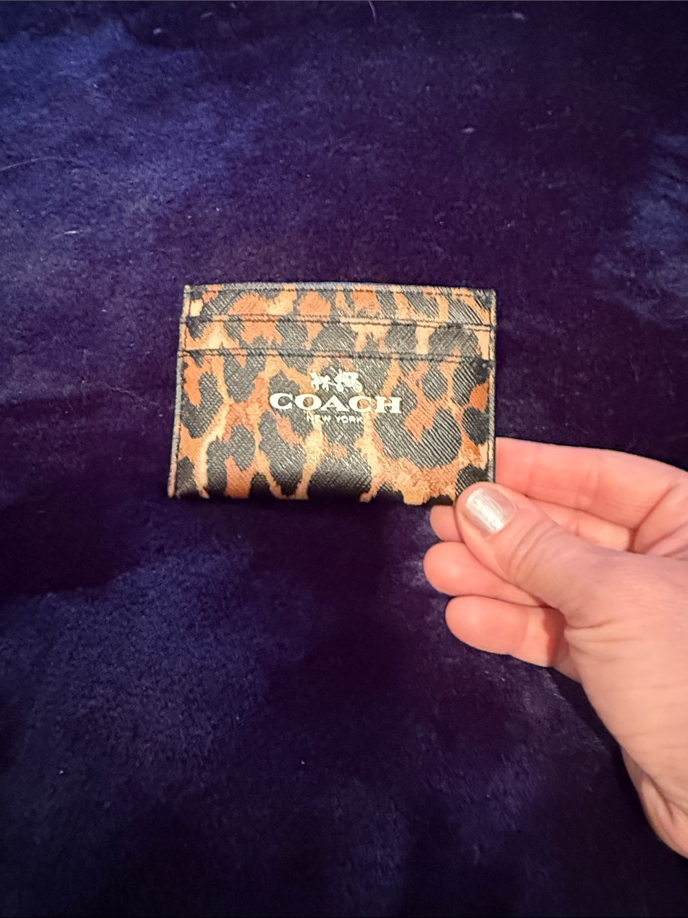 Coach Leopard-Print Card Holder - Brown & Black